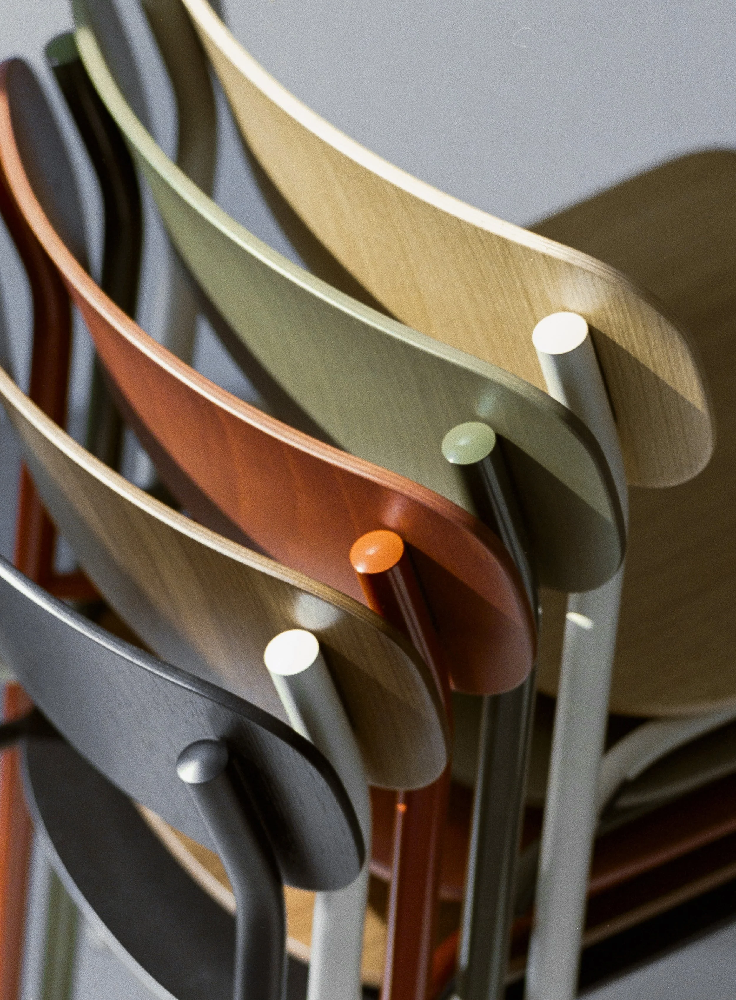 Four Legs Good — Disegno Journal